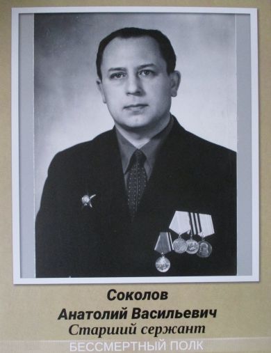 Соколов Анатолий Васильевич