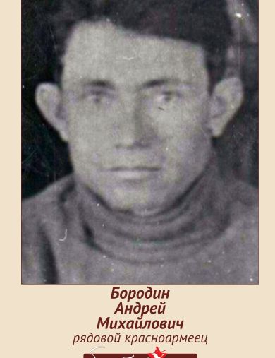 Бородин Андрей Михайлович