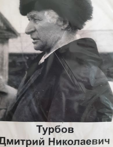 Турбов Дмитрий Николаевич