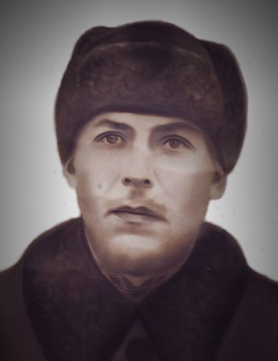 Залогин Никифор Илларионович