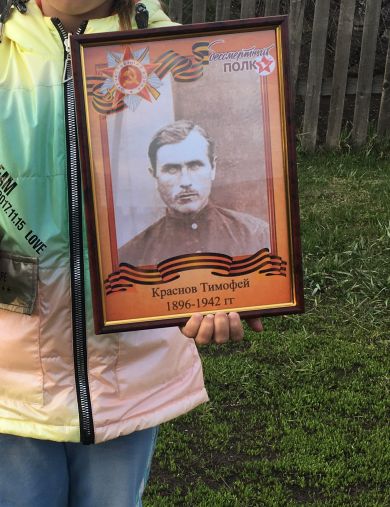 Краснов Тимофей
