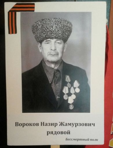 Вороков Назир Жамурзович