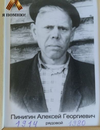 Пинигин Алексей Георгиевич