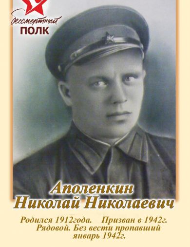 Аполенкин Николай Николаевич