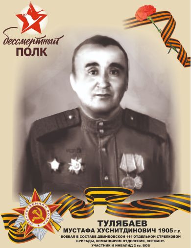 Тулябаев Мустафа Хуснитдинович