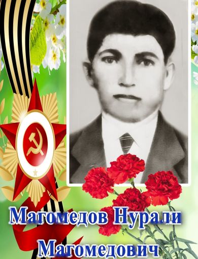 Магомедов Нурали Магомедович