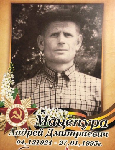 Мацепура Андрей Дмитриевич