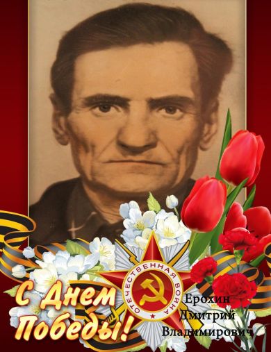 Ерохин Дмитрий Владимирович