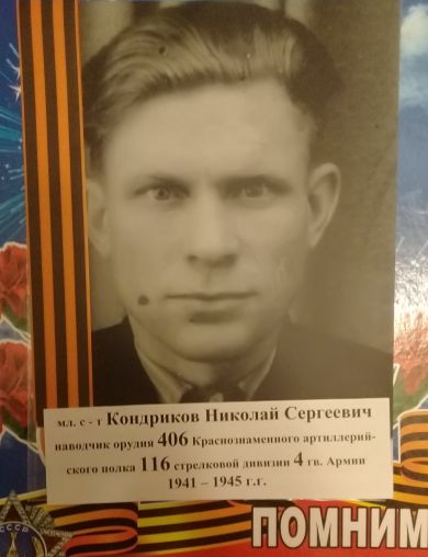 Кондриков Николай Сергеевич