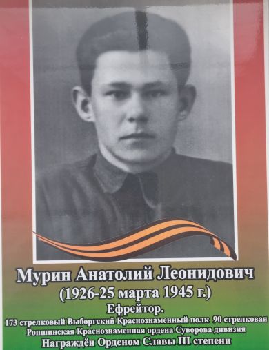Мурин Анатолий Леонидович
