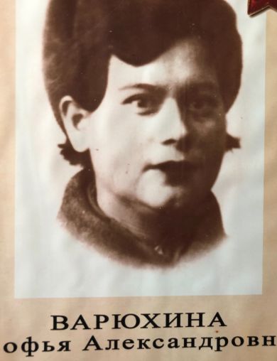 Варюхина Софья Александровна