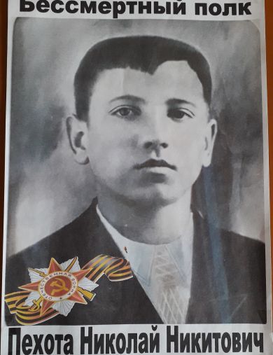 Пехота Николай Никитович