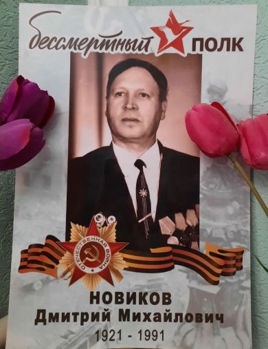 Новиков Дмитрий Михайлович