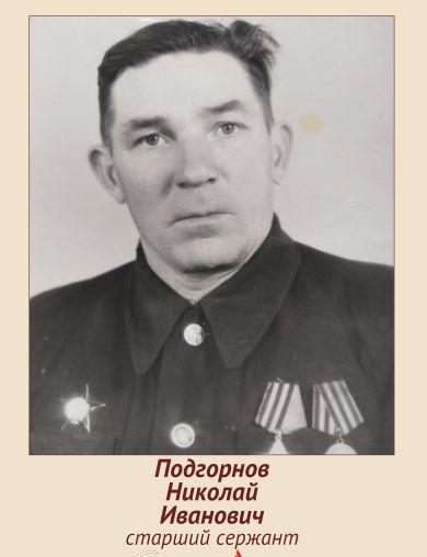 Подгорнов Николай Иванович