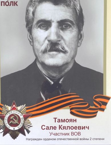 Тамоян Сале Калоевич