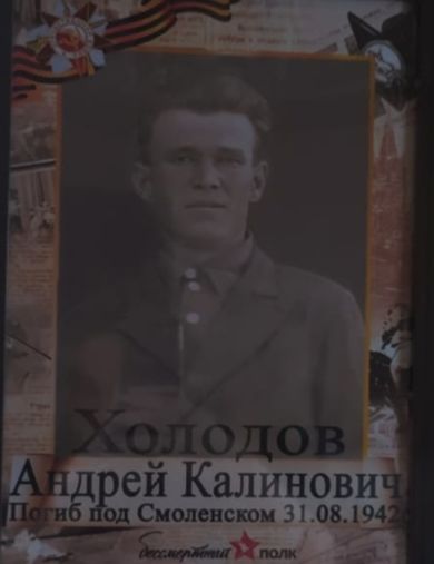Холодов Андрей Калинович