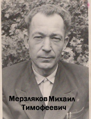 Мерзляков Михаил Тимофеевич