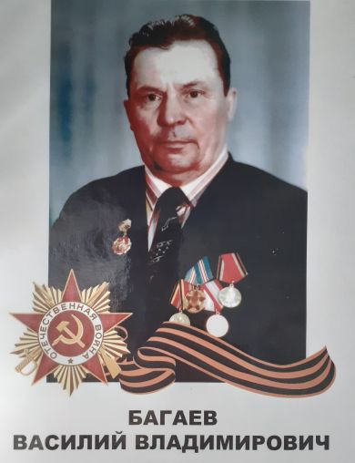 Багаев Василий Владимирович