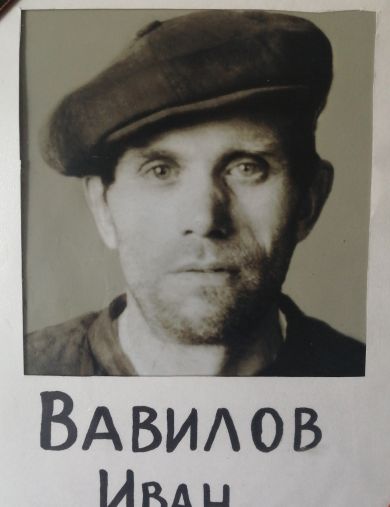 Вавилов Иван Васильевич