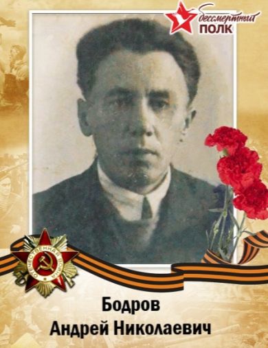 Бодров Андрей Николаевич
