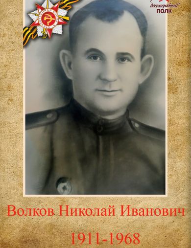 Волков Николай Иванович