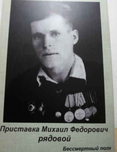 Приставка Михаил Фёдорович