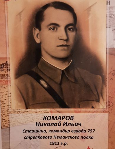 Комаров Николай Ильич