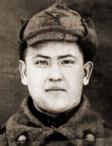 Игошин Николай Николаевич