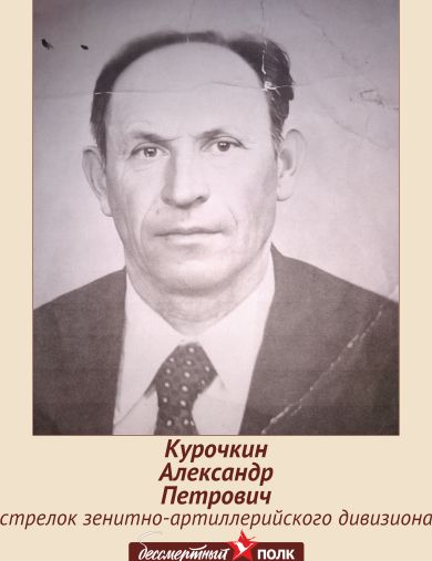 Курочкин Александр Петрович
