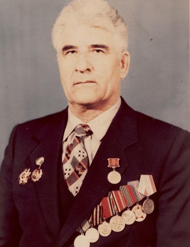 Гузеев Василий Дмитриевич