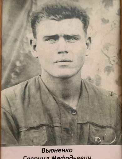 Вьюненко Гавриил Мефодьевич