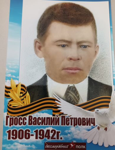 Гросс Василий Петрович
