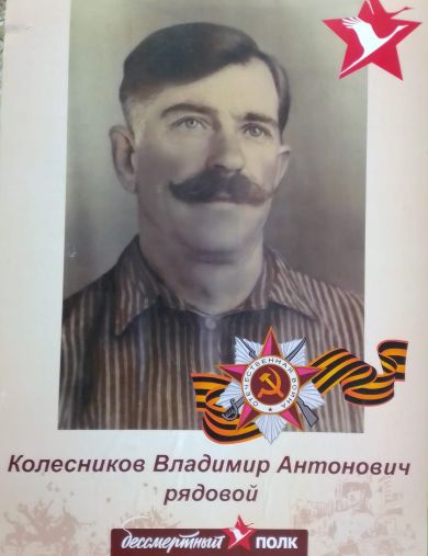 Колесников Владимир Антонович