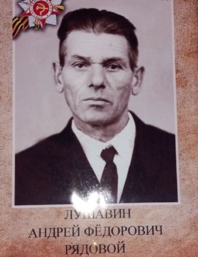 Лушавин Андрей Фёдорович