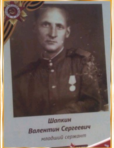 Шапкин Валентин Сергеевич