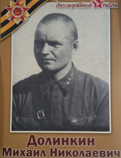 Долинкин Михаил Николаевич