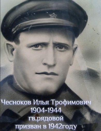 Чесноков Илья Трофимович