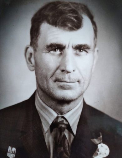 Береговой Павел Степанович