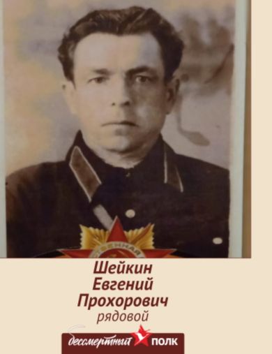 Шейкин Евгений Прохорович