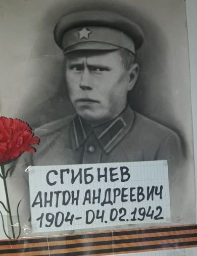 Сгибнев Антон Андреевич