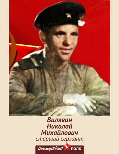 Вилявин Николай Михайлович