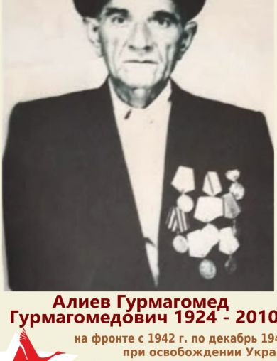 Алиев Гурмагомед Гурмагомедович