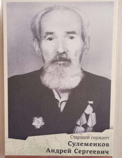 Сулеменков Андрей Сергеевич