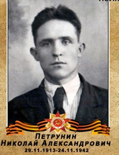 Петрунин Николай Александрович