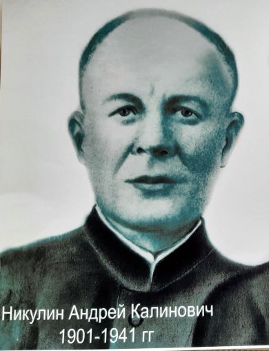 Никулин Андрей Калинович