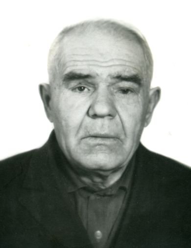 Меркулов Михаил Дмитриевич