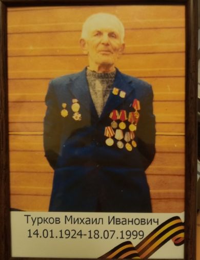 Турков Михаил Иванович
