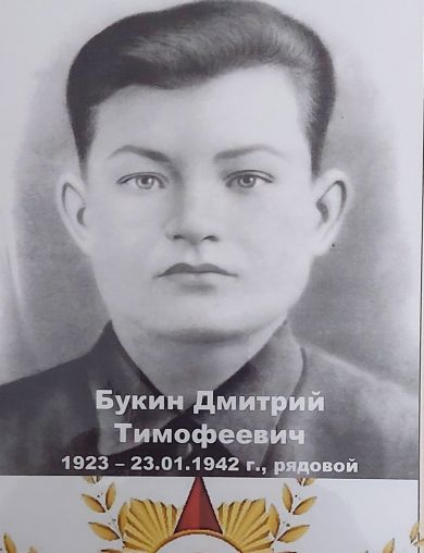 Букин Дмитрий Тимофеевич