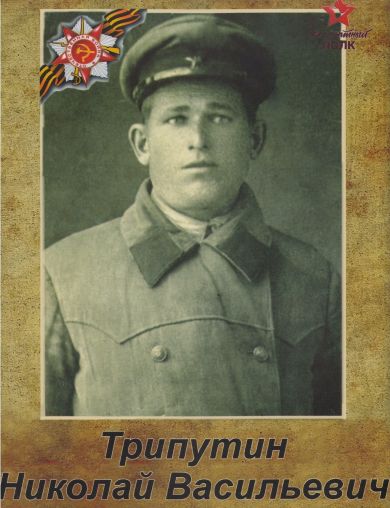 Трипутин Николай Васильевич