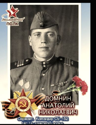 Домнин Анатолий Николаевич